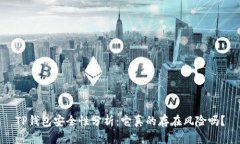 TP钱包安全性分析：它真的存在风险吗？