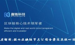 深度解析：国内区块链节点公司全景及其核心优