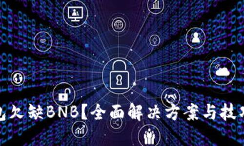 TP钱包欠缺BNB？全面解决方案与技巧揭秘