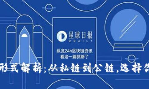 区块链部署的六大形式解析：从私链到公链，选择你的区块链解决方案