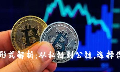 区块链部署的六大形式解析：从私链到公链，选择你的区块链解决方案