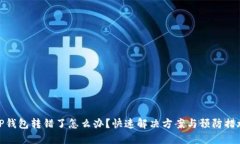 TP钱包转错了怎么办？快速解决方案与预防措施