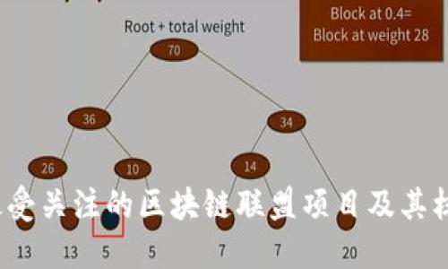 2023年最受关注的区块链联盟项目及其核心创新点
