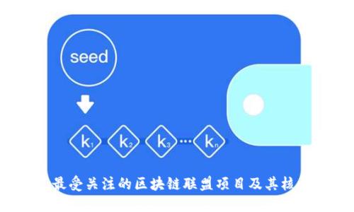 2023年最受关注的区块链联盟项目及其核心创新点