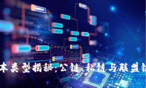 区块链的基本类型揭秘：公链、私链与联盟链的独特魅力