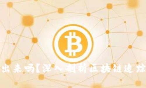 TP钱包被盗能查出来吗？深入剖析区块链追踪的可能性与限制