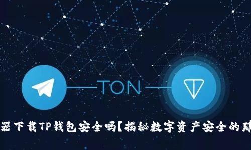 浏览器下载TP钱包安全吗？揭秘数字资产安全的那些事