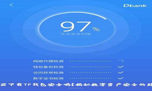 浏览器下载TP钱包安全吗？揭秘数字资产安全的那些事
