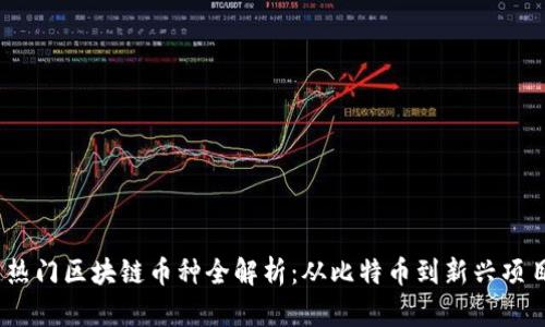 2023年国内热门区块链币种全解析：从比特币到新兴项目的投资机遇