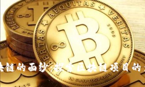 揭开区块链的面纱：探索区块链项目的多种类型
