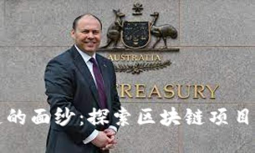 揭开区块链的面纱：探索区块链项目的多种类型