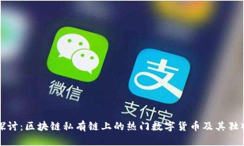 深入探讨：区块链私有链上的热门数字货币及其独特优势