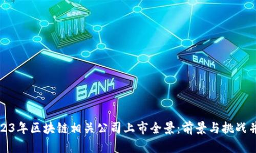 2023年区块链相关公司上市全景：前景与挑战并存