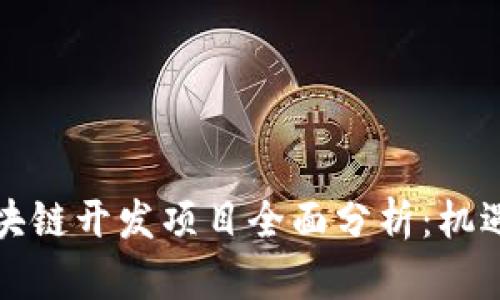 海外区块链开发项目全面分析：机遇与挑战