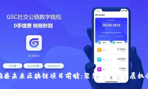 雄县未来区块链项目前瞻：聚焦创新与发展机会