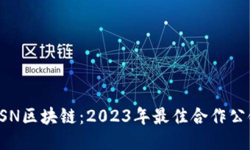 探索BSN区块链：2023年最佳合作公链推荐