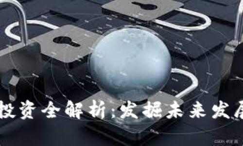 区块链技术投资全解析：发掘未来发展的无限潜力