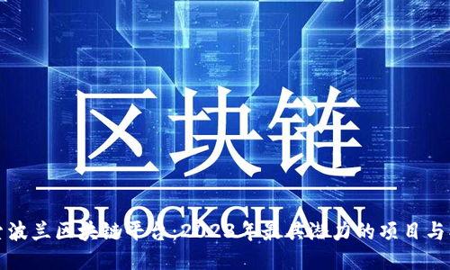 探索波兰区块链平台：2023年最具潜力的项目与创新