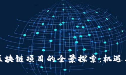 山西大同区块链项目的全景探索：机遇与挑战并存
