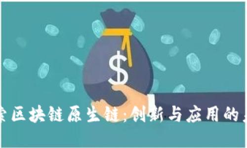 探索区块链原生链：创新与应用的未来