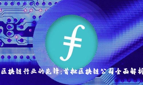 区块链行业的先锋：首批区块链公司全面解析
