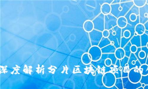 探索未来：深度解析分片区块链项目的创新与挑战