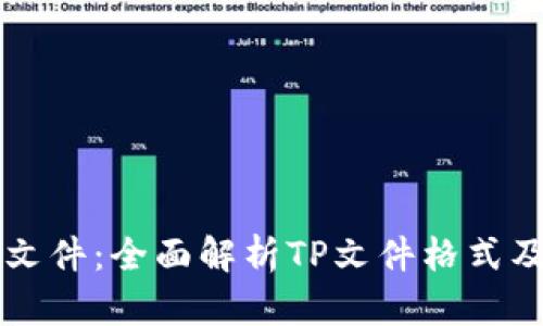 如何查看TP文件：全面解析TP文件格式及其使用方法