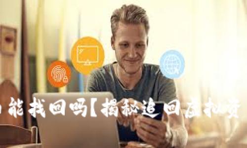 TP钱包被转走的币能找回吗？揭秘追回虚拟资产的可能性与方法