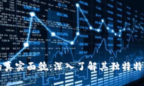 揭开区块链的真实面貌：深入了解其独特特点与应用潜力