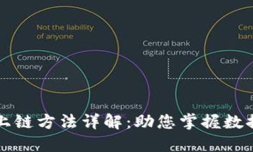 区块链梯度上链方法详解：助您掌握数据上链新思路