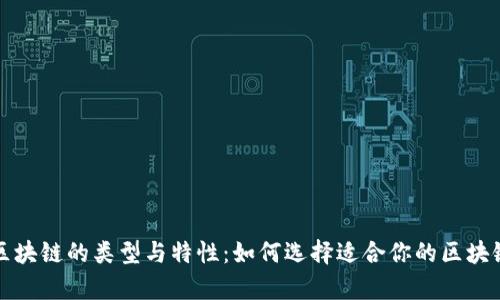 全面解析区块链的类型与特性：如何选择适合你的区块链解决方案