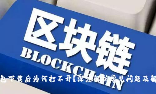 TP冷钱包下载后为何打不开？深度解析常见问题及解决方案