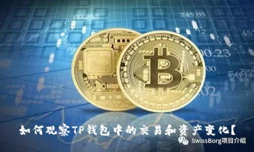如何观察TP钱包中的交易和资产变化？