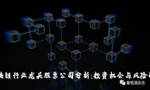 区块链行业龙头股票公司分析：投资机会与风险解析