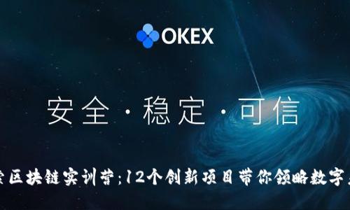 探索区块链实训营：12个创新项目带你领略数字未来