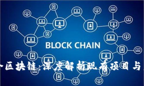 于都综合区块链：深度解析现有项目与未来发展