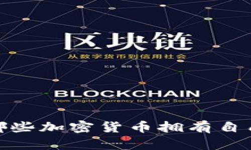揭示独特卖点：哪些加密货币拥有自己的独立区块链？