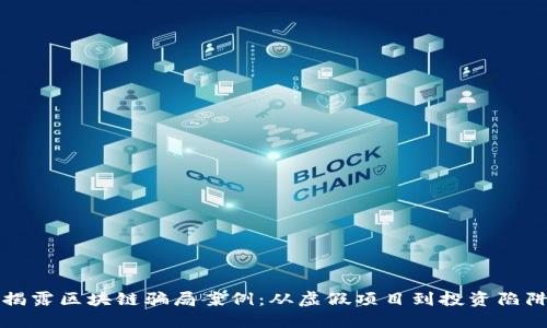 揭露区块链骗局案例：从虚假项目到投资陷阱