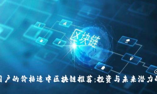 适合大众用户的价格适中区块链推荐：投资与未来潜力的完美结合