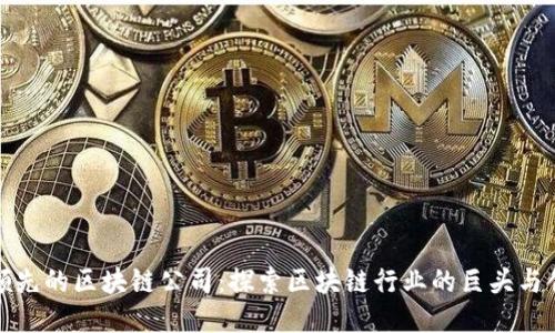 全球领先的区块链公司：探索区块链行业的巨头与创新者