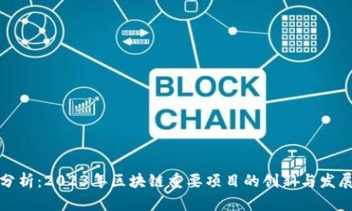 深入分析：2023年区块链重要项目的创新与发展趋势