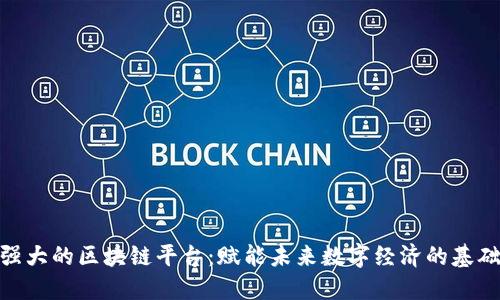探索强大的区块链平台：赋能未来数字经济的基础设施