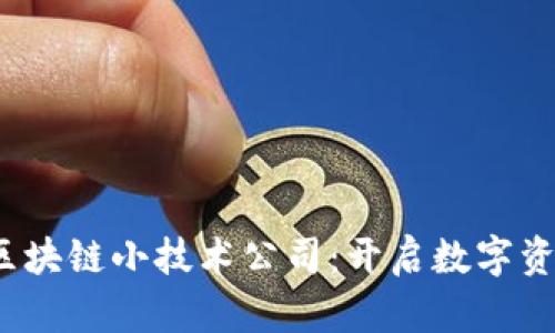 2023年区块链小技术公司：开启数字资产新纪元