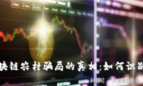 揭开区块链农村骗局的真相：如何识别与防范
