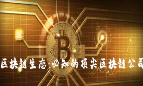 探索台湾的区块链生态：必知的顶尖区块链公司与创新项目