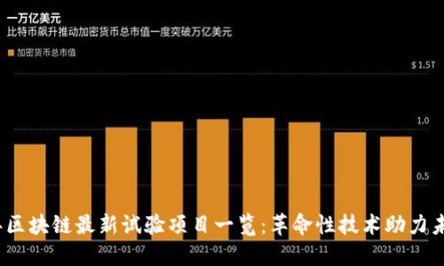 2023年区块链最新试验项目一览：革命性技术助力未来发展