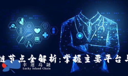 美国区块链节点全解析：掌握主要平台与技术优势