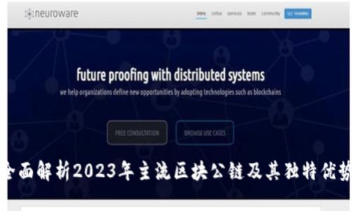 全面解析2023年主流区块公链及其独特优势