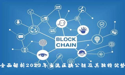 全面解析2023年主流区块公链及其独特优势