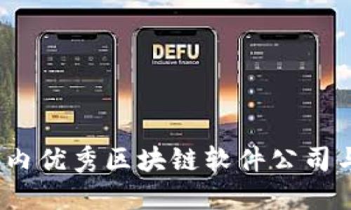 深入探讨：国内优秀区块链软件公司与其创新亮点